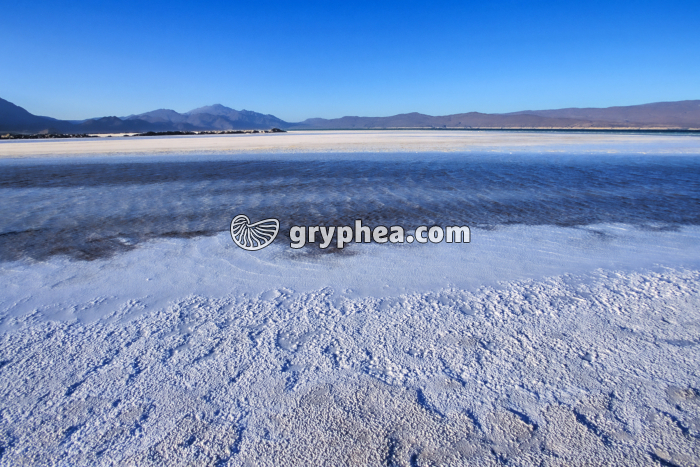 Lac Assal - Djibouti - gryphea.com